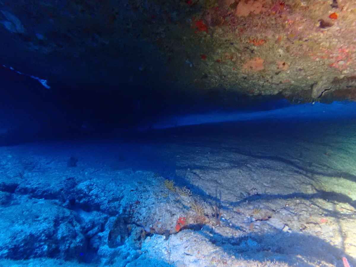 f:id:umiuminikki:20200301084921j:plain