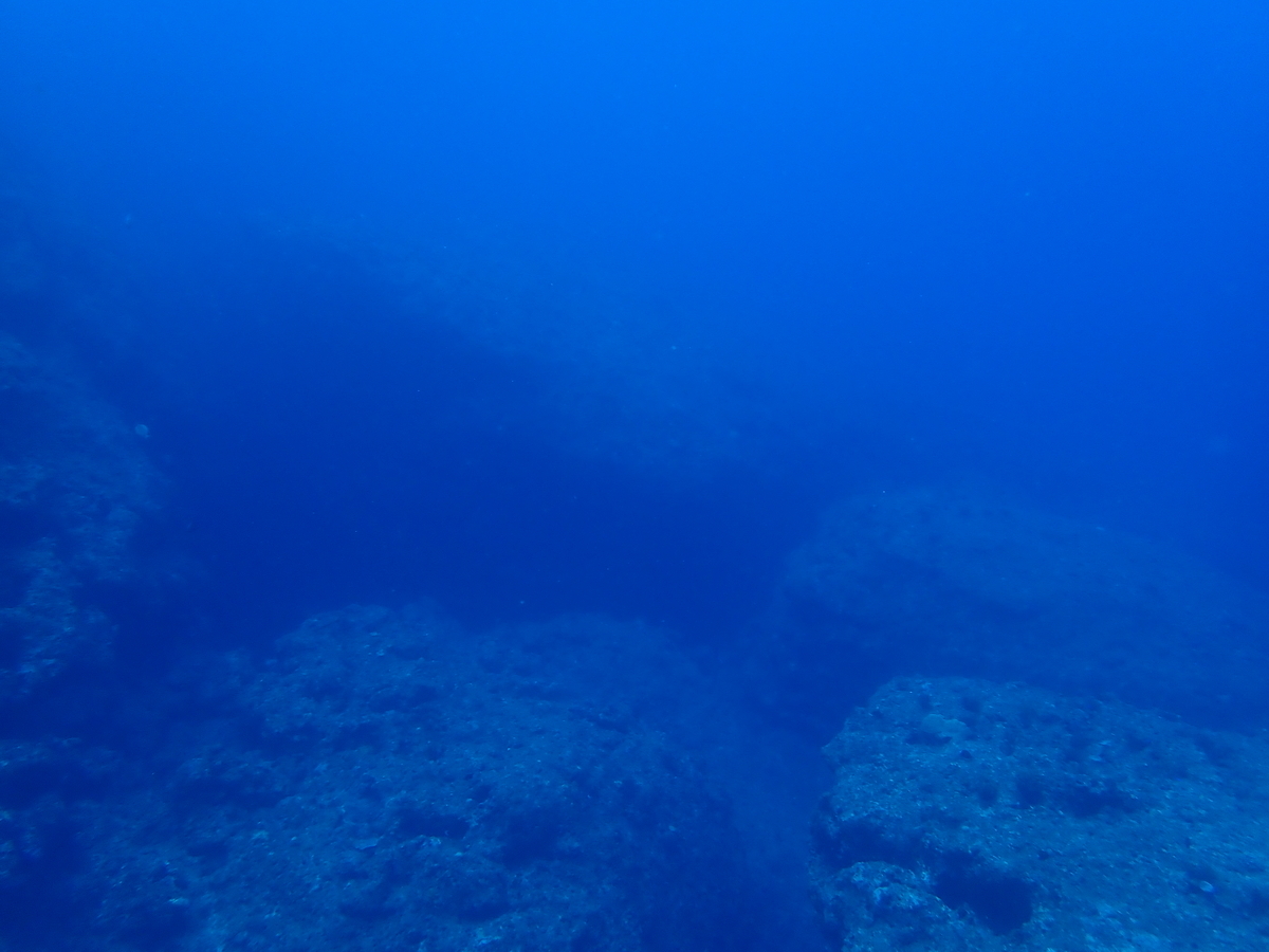 f:id:umiuminikki:20200301090746j:plain