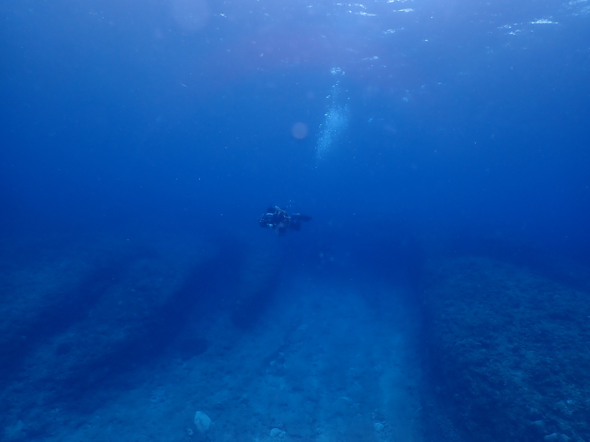 f:id:umiuminikki:20200301112555j:plain