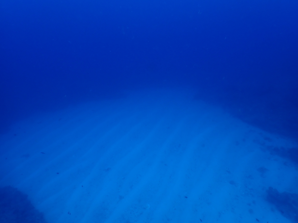 f:id:umiuminikki:20200301112853j:plain