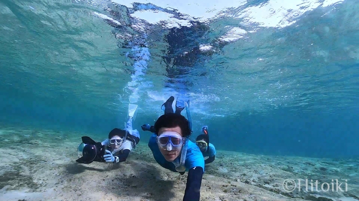 f:id:umiuminikki:20200404234834j:plain