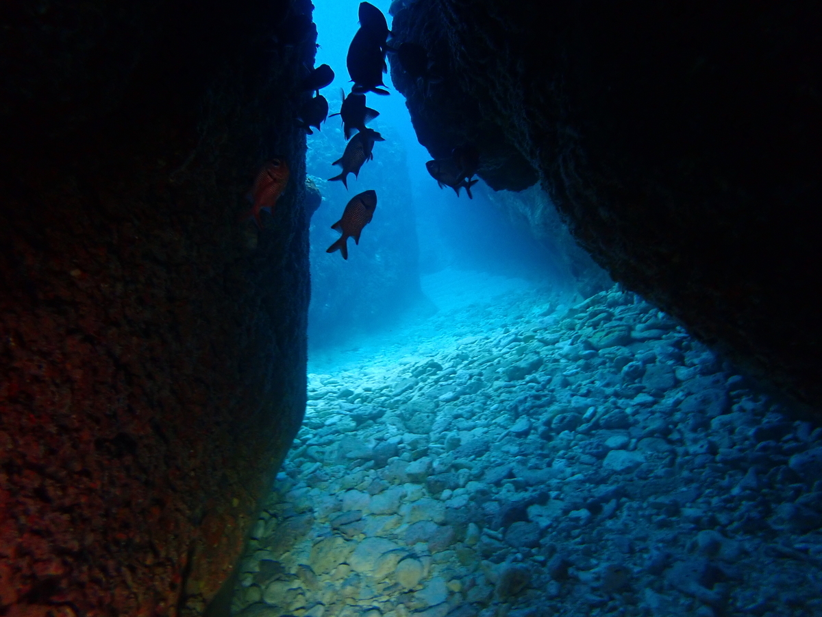 f:id:umiuminikki:20200416002801j:plain f:id:umiuminikki:20200416002801j:plain