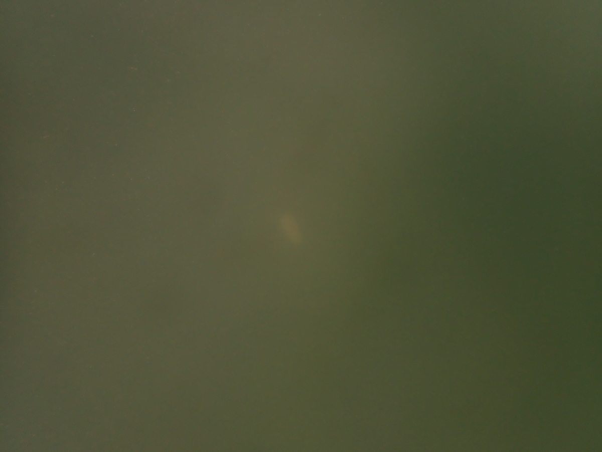f:id:umiuminikki:20210427211154j:plain