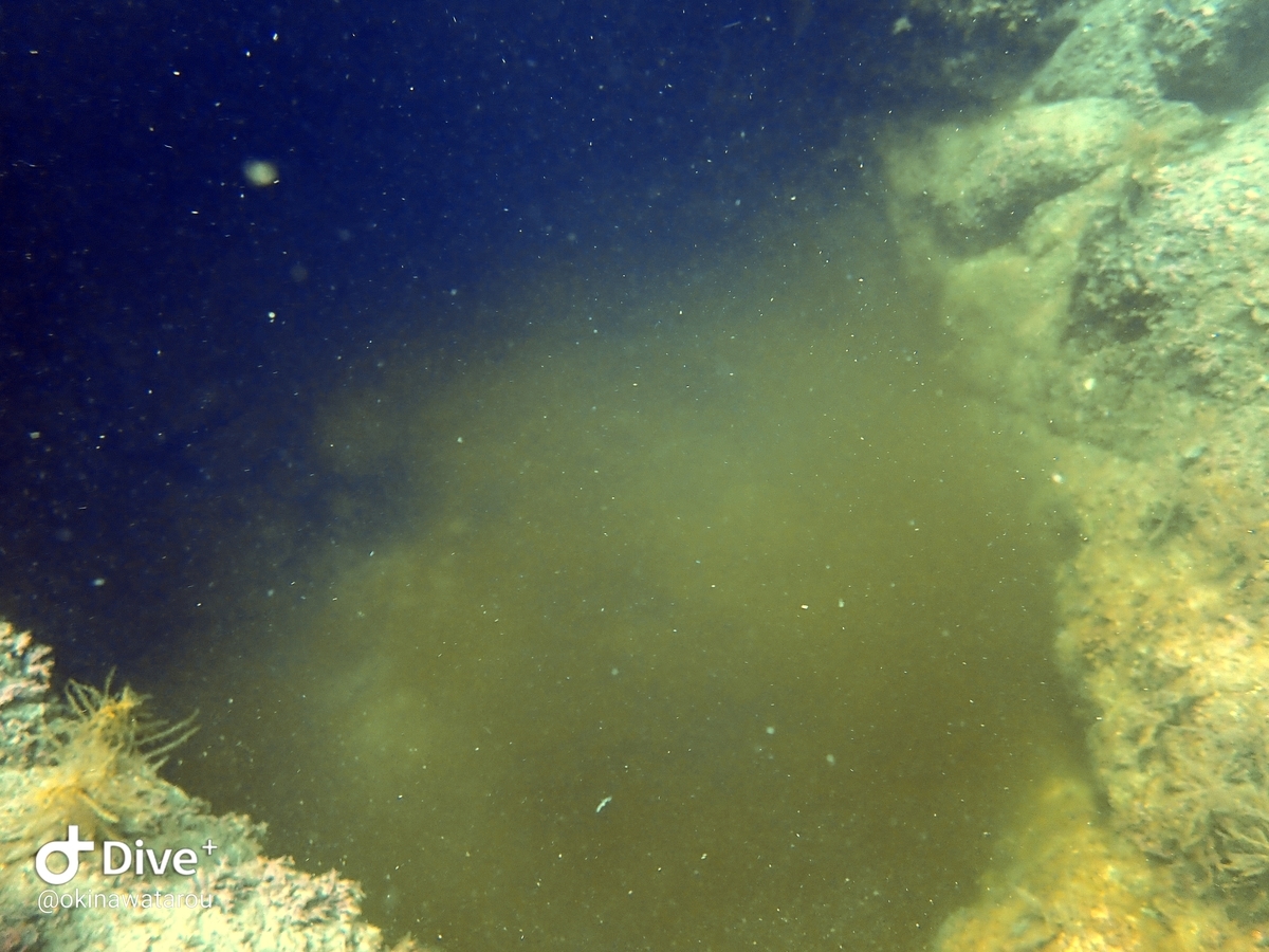 f:id:umiuminikki:20210718220203j:plain