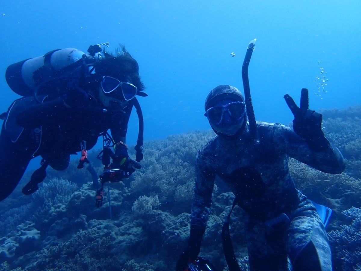 f:id:umiuminikki:20211222204033j:plain