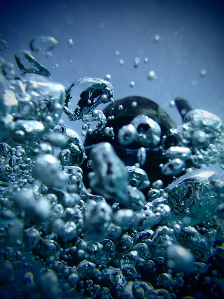 f:id:umiuminikki:20211222232223j:plain