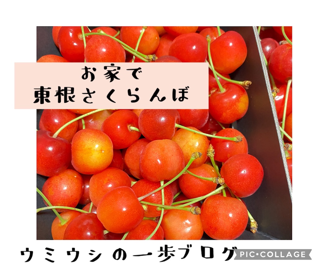f:id:umiushinoippo:20210628155909j:image f:id:umiushinoippo:20210628155909j:image