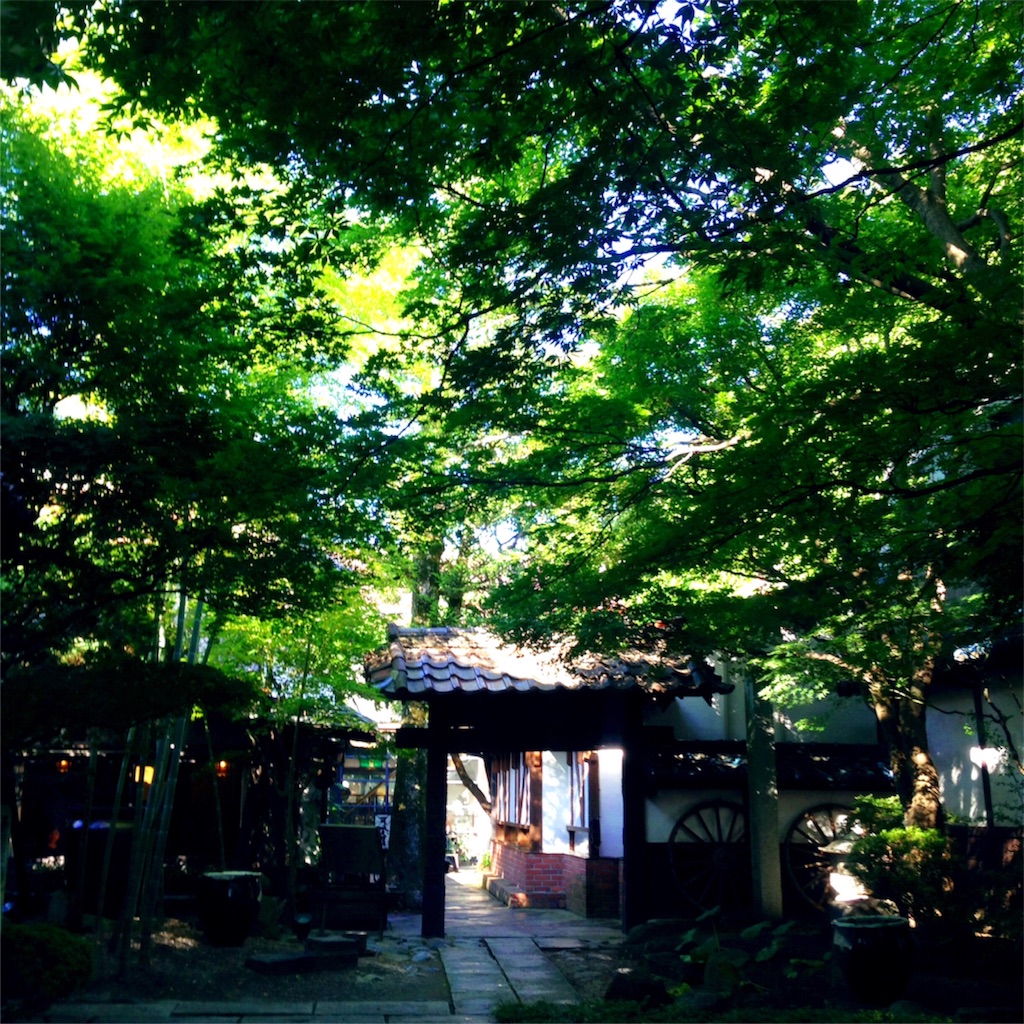 f:id:umiuship:20161204110949j:image f:id:umiuship:20161204110949j:image