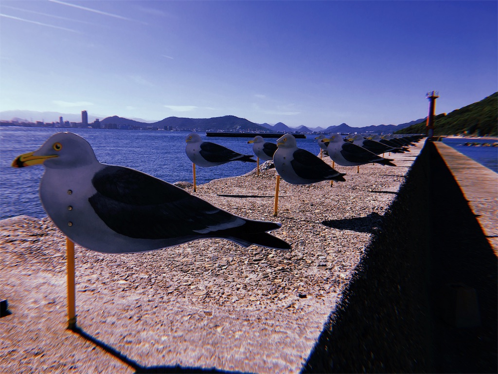f:id:umiuship:20191117001438j:plain f:id:umiuship:20191117001438j:plain
