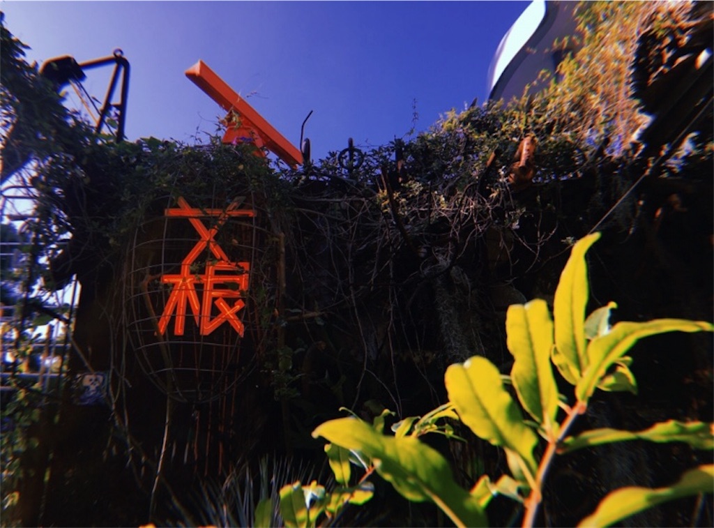 f:id:umiuship:20191117004154j:plain f:id:umiuship:20191117004154j:plain