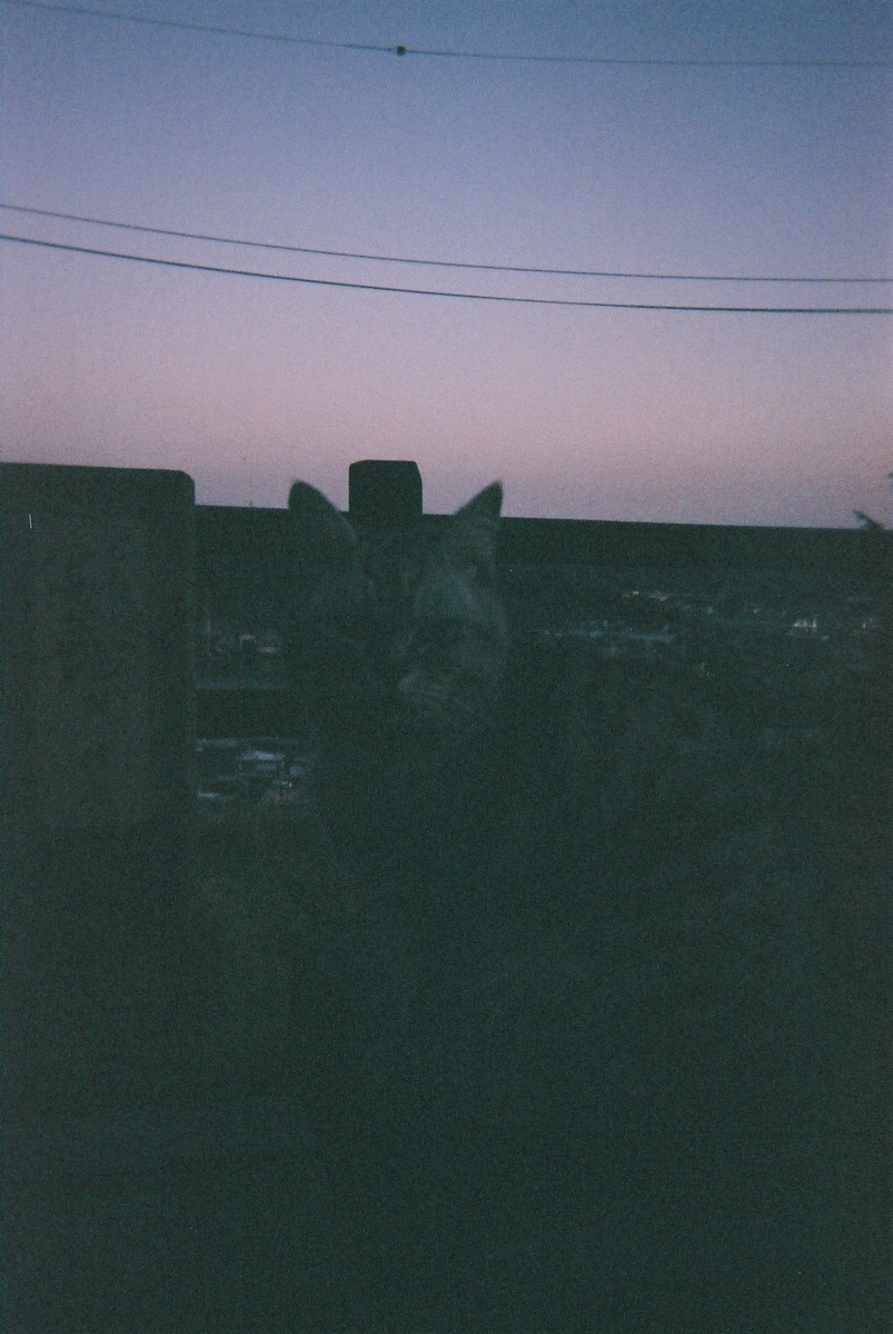 f:id:umiuship:20201207003101j:plain