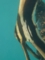 20100816125226