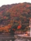 20101126222447