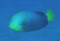 20111208200519