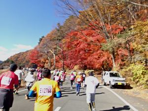 f:id:umiusi7:20121126231851j:image