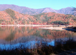 f:id:umiusi7:20121127132935j:image
