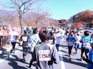f:id:umiusi7:20121127132936j:image