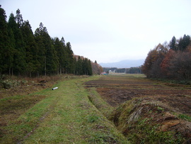 f:id:umiwa:20071127094825j:image