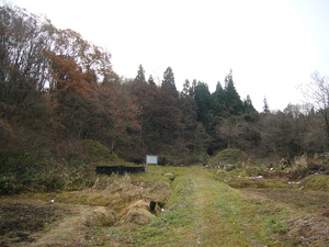 f:id:umiwa:20071127094835j:image
