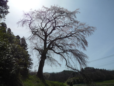 f:id:umiwa:20120429092959j:image