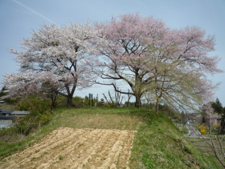 f:id:umiwa:20120429101241j:image