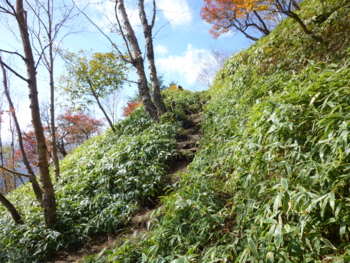 f:id:umiwa:20121019121556j:image