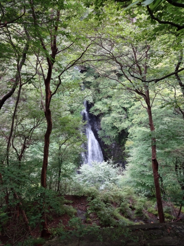 f:id:umiwa:20140830211044j:image