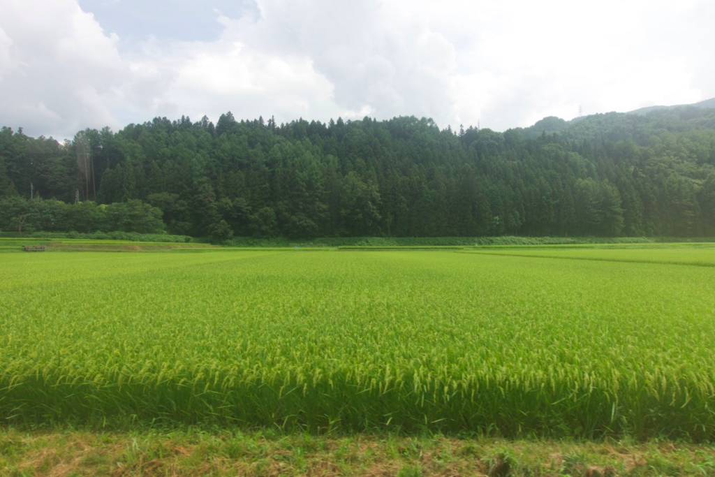 f:id:umiya22:20180823000738p:plain f:id:umiya22:20180823000738p:plain