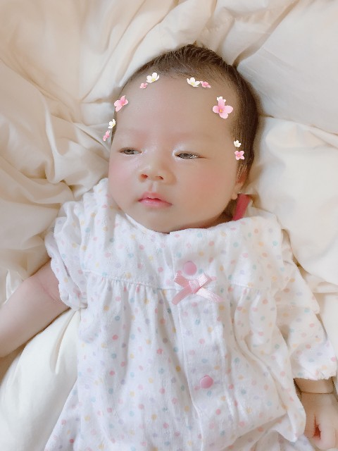f:id:umiyama-3kyodai:20210902131918j:image f:id:umiyama-3kyodai:20210902131918j:image