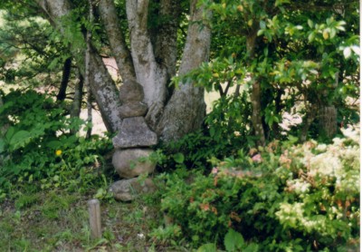 f:id:umiyamabusi:20100915135416j:image