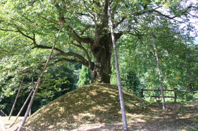 f:id:umiyamabusi:20110926194706j:image