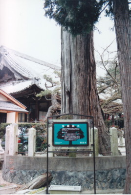 f:id:umiyamabusi:20140227163847j:image f:id:umiyamabusi:20140227163847j:image