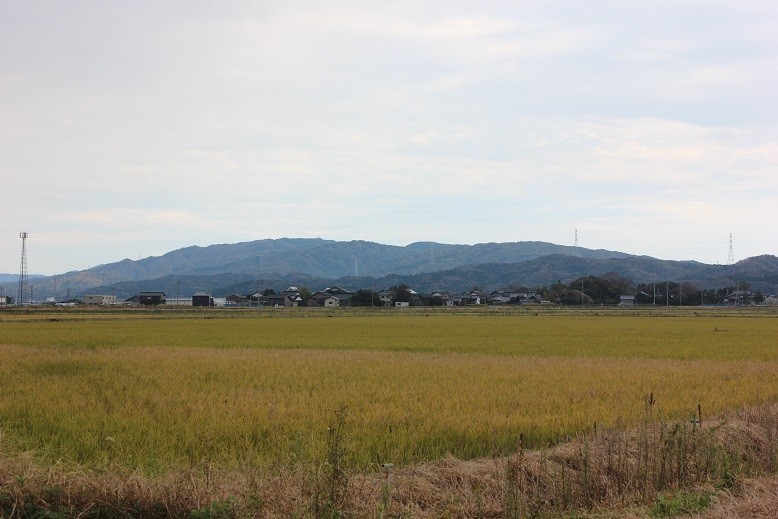 f:id:umiyamabusi:20191113003654j:plain f:id:umiyamabusi:20191113003654j:plain