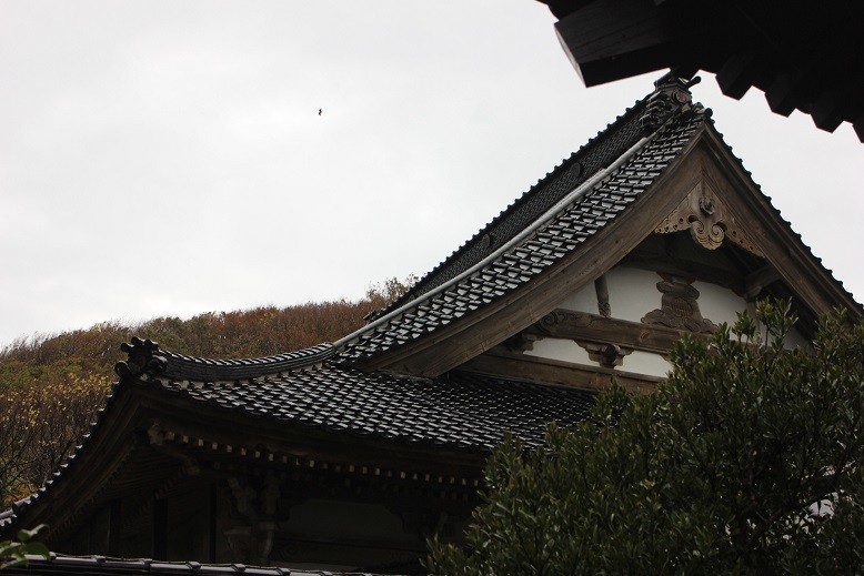 f:id:umiyamabusi:20191113003743j:plain f:id:umiyamabusi:20191113003743j:plain