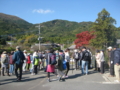 f:id:umiyamasachi:20121118130918j:image:medium:left
