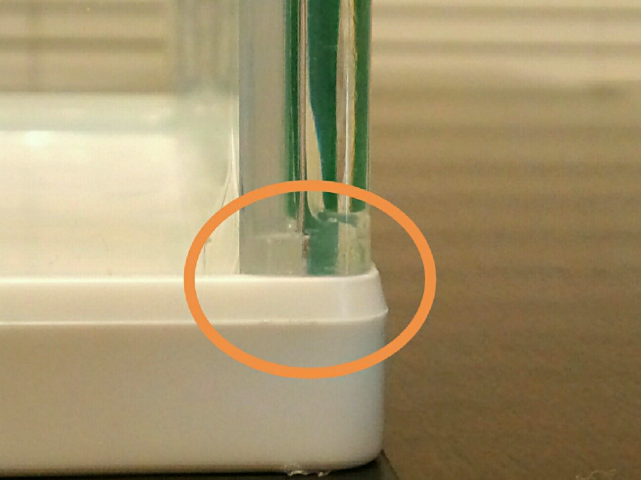 水槽から水漏れをしたので、新しい水槽を買ったはなし。 - うみぞうブログ