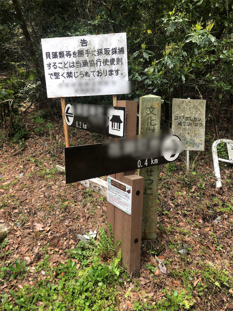 f:id:umizuri:20200429192530p:image