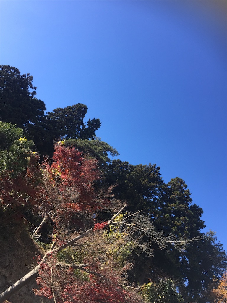 f:id:ummunu:20181125101726j:image f:id:ummunu:20181125101726j:image