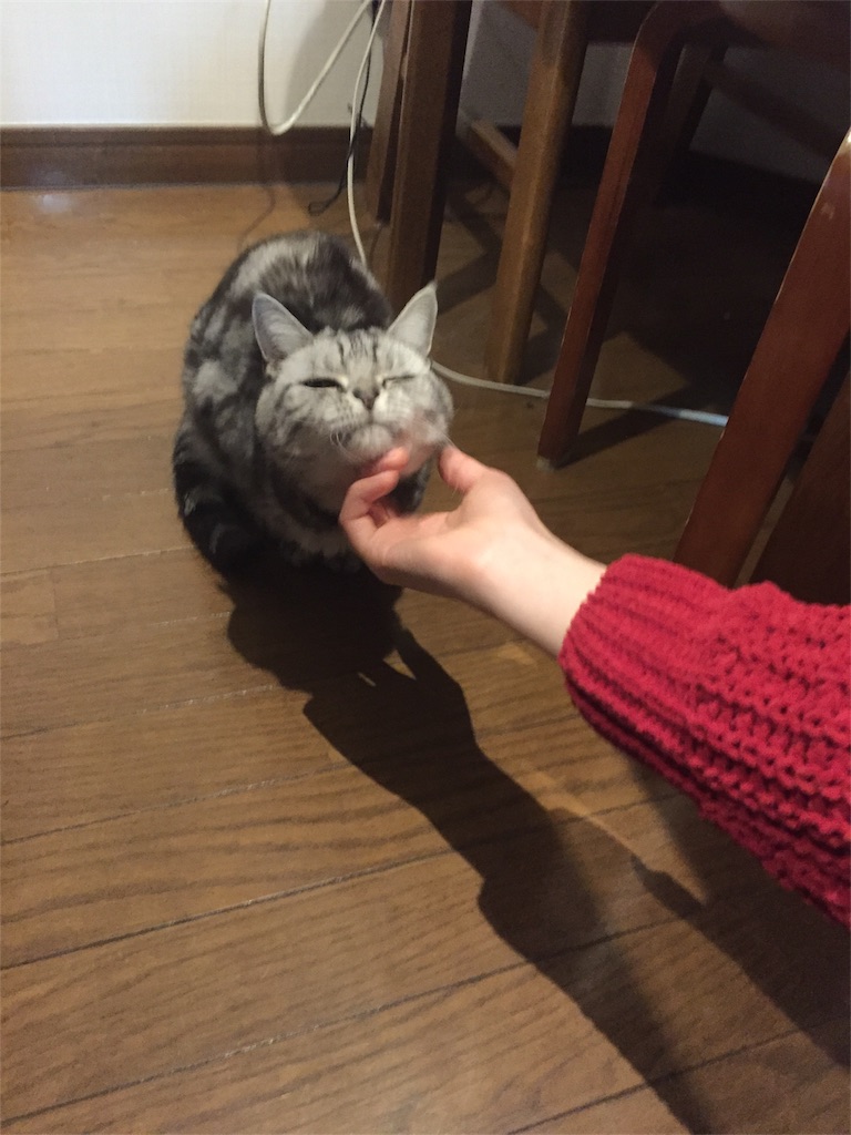 f:id:ummunu:20181127235820j:image f:id:ummunu:20181127235820j:image