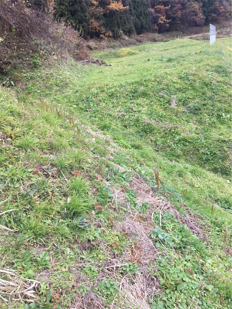 f:id:ummunu:20181129201011j:image f:id:ummunu:20181129201011j:image