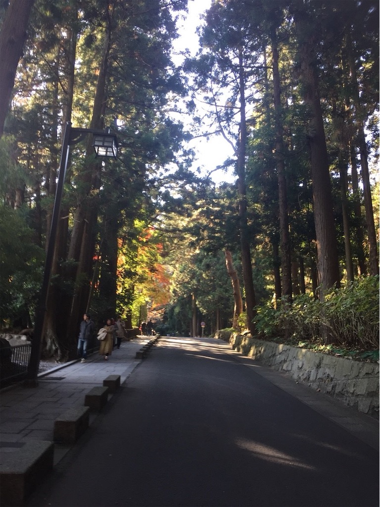 f:id:ummunu:20190131155306j:image f:id:ummunu:20190131155306j:image