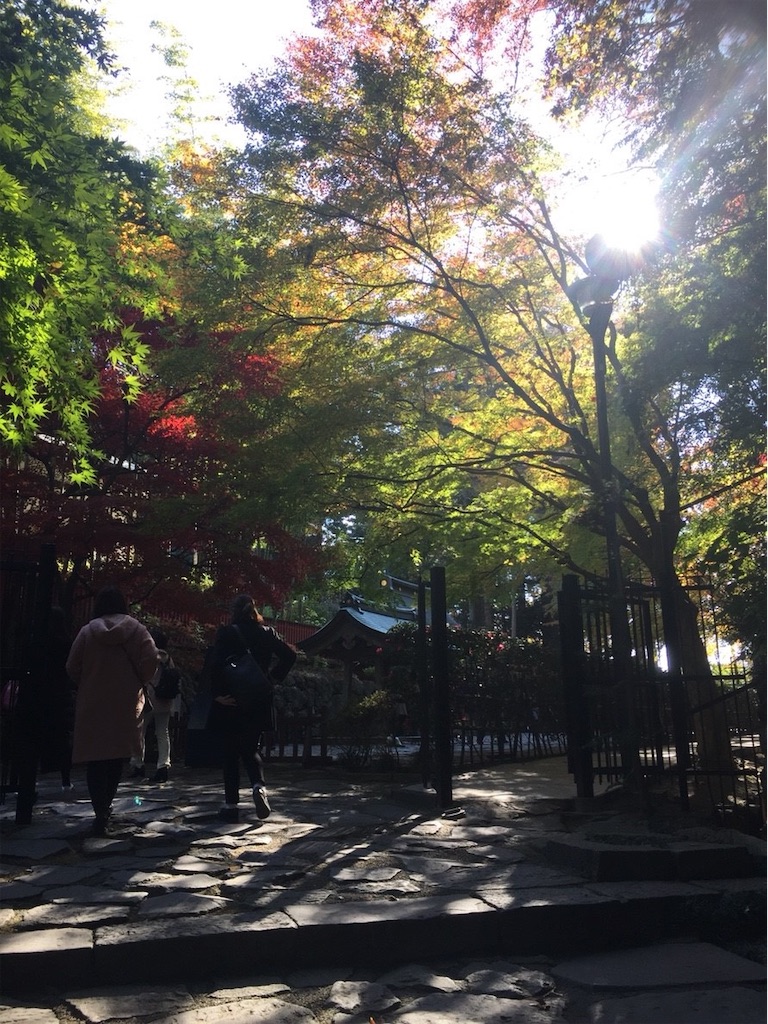 f:id:ummunu:20190131160508j:image f:id:ummunu:20190131160508j:image