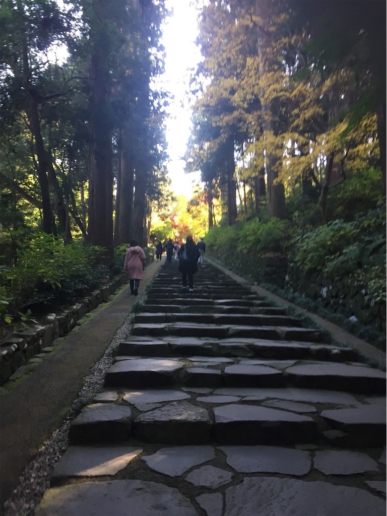 f:id:ummunu:20190131160512j:image f:id:ummunu:20190131160512j:image