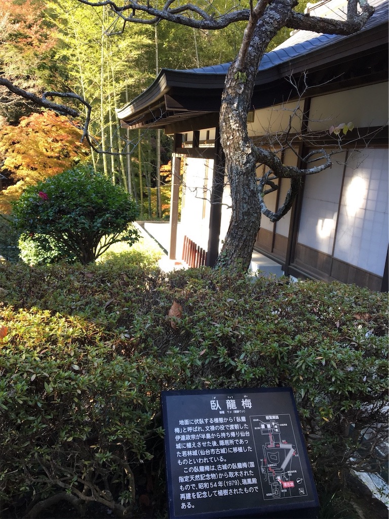 f:id:ummunu:20190131165052j:image f:id:ummunu:20190131165052j:image