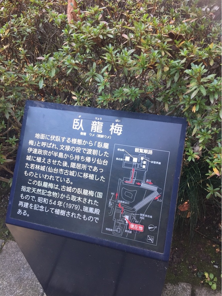 f:id:ummunu:20190131165057j:image f:id:ummunu:20190131165057j:image