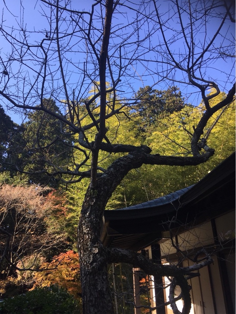f:id:ummunu:20190131165101j:image f:id:ummunu:20190131165101j:image
