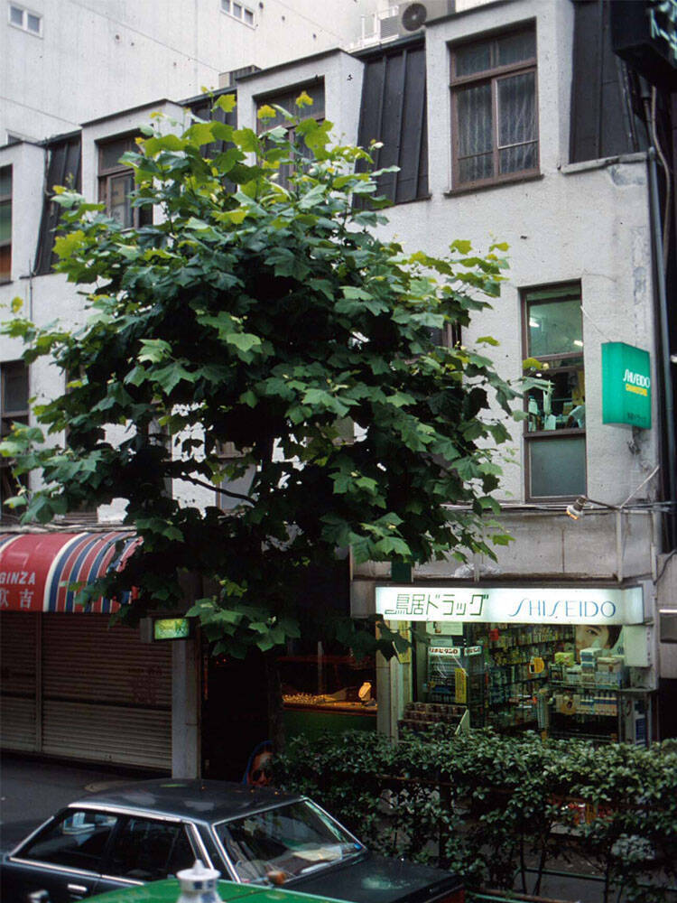 三ツ喜ビル　川喜田煉七郎　新建築工芸学院