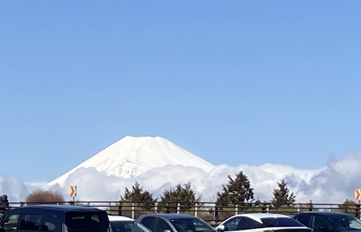 富士山