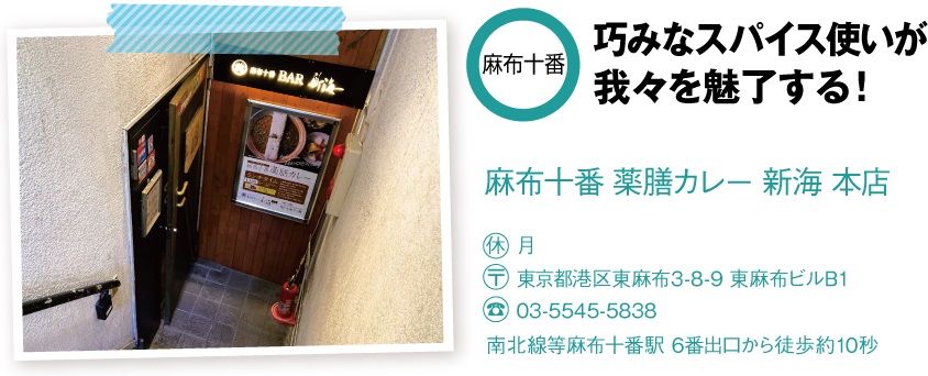 薬膳カレー 新海の店舗情報