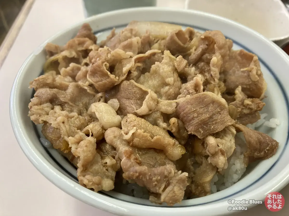 アキバ「牛丼専門 サンボ」の牛丼を美味しそうな角度から